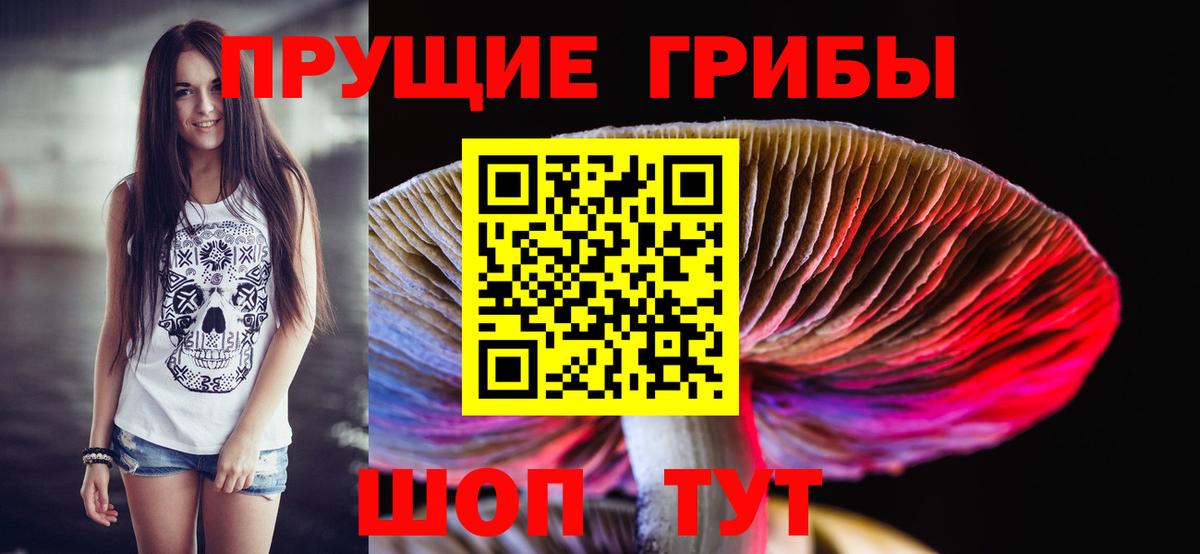 цены наркотик  Псилоцибиновые грибы Psilocybe  Вход с VPN  Вольск 