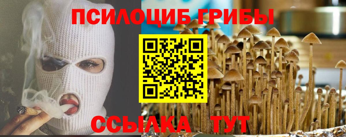 Галлюциногенные грибы Psilocybine cubensis Вольск